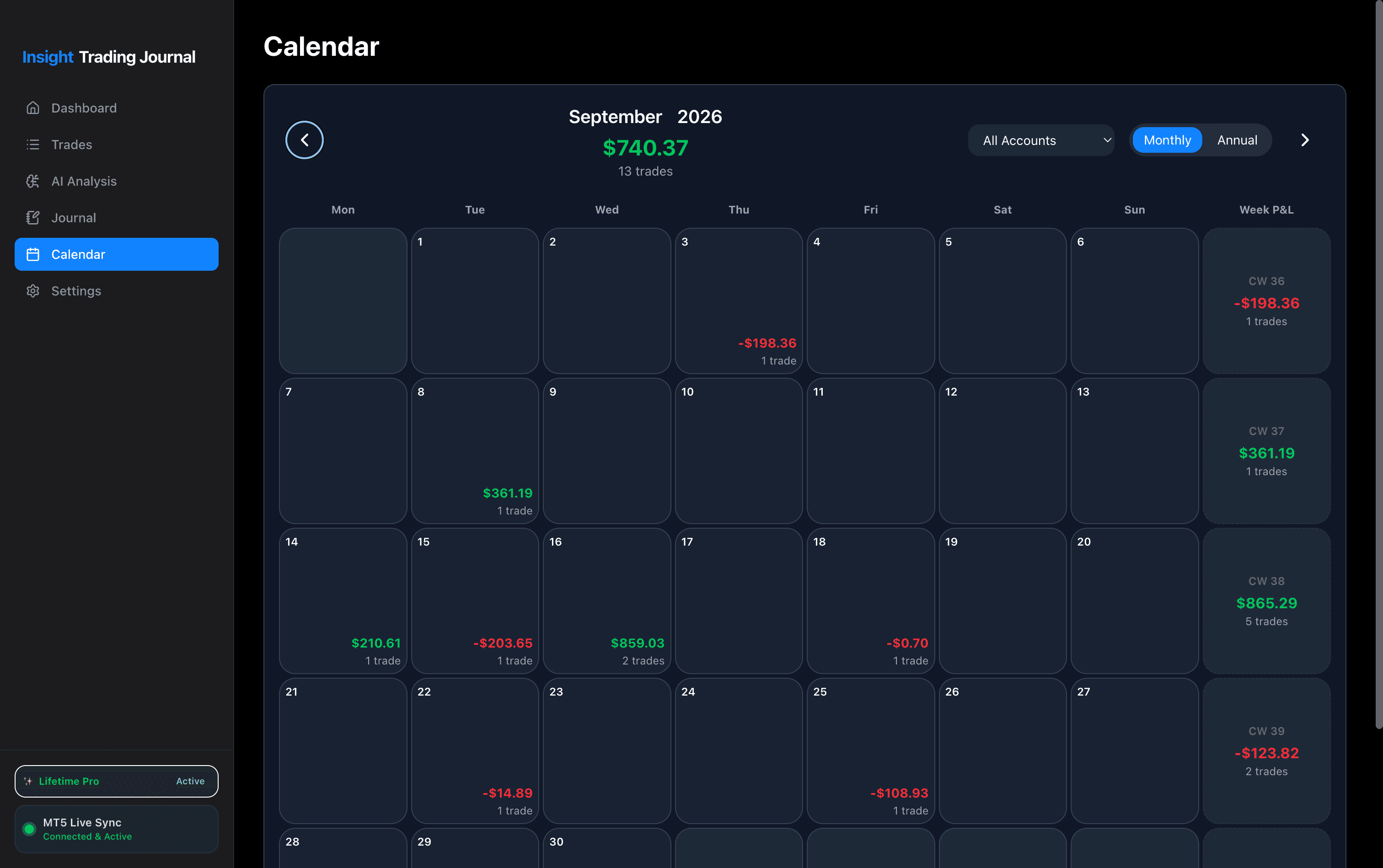 P&L Calendar Overview